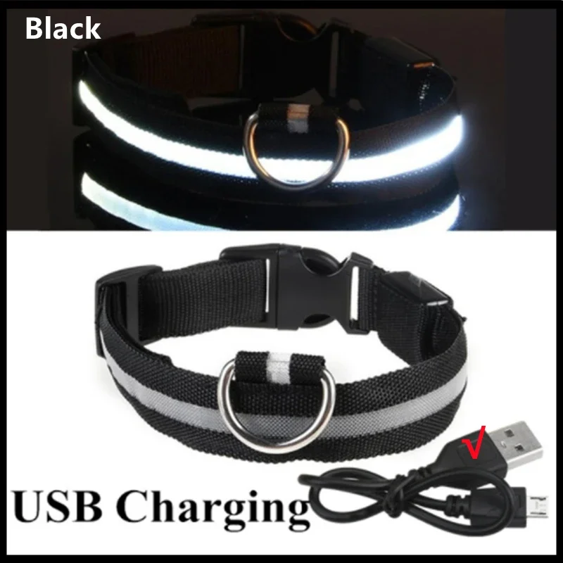 Rechargeable LED dog collar (USB, 3 light modes)